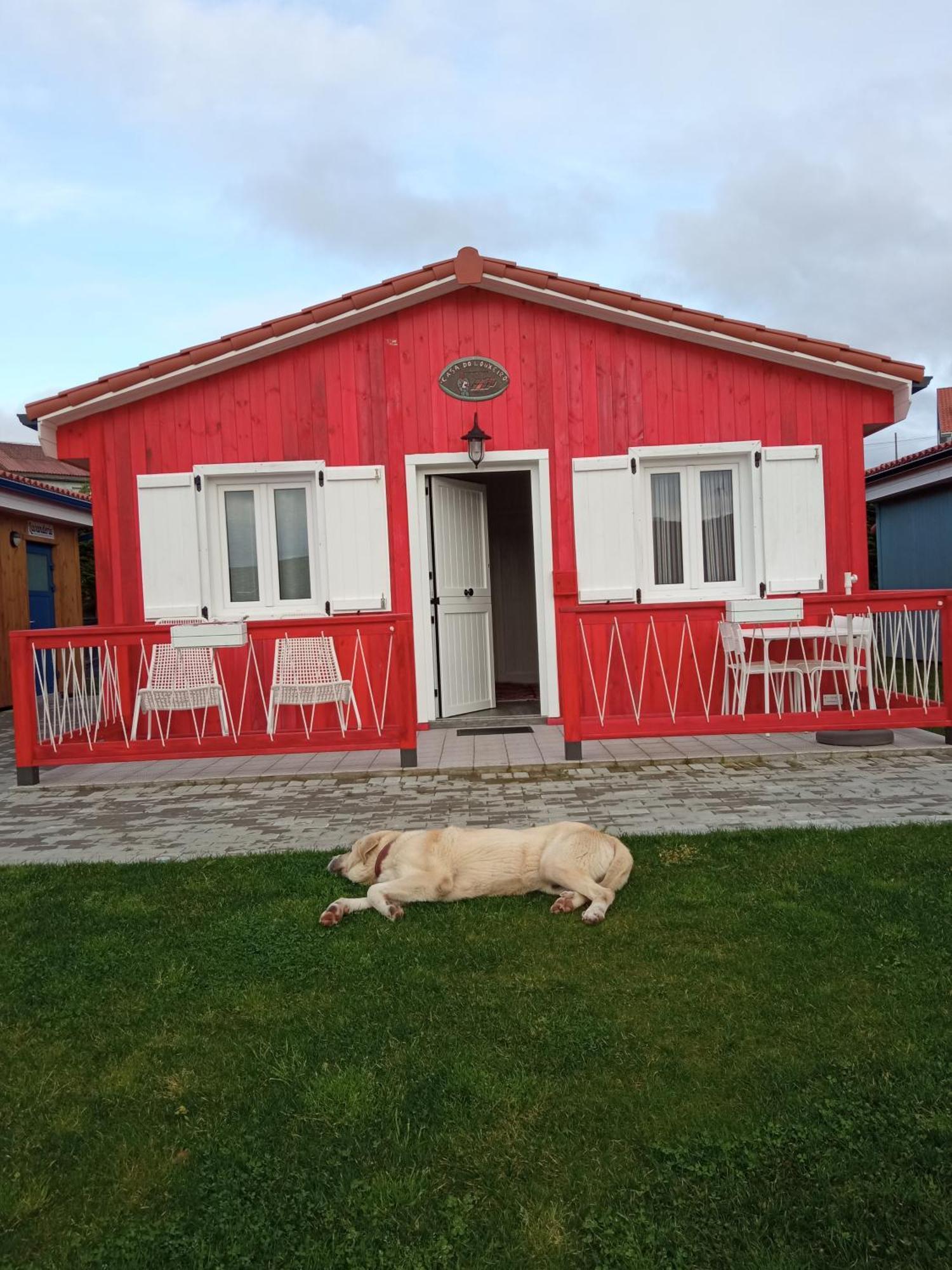 Cabanas De Vendaval Malpica Εξωτερικό φωτογραφία